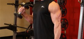 Biceps Workout