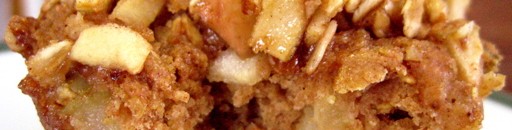 Diabetic Friendly Apple Cinnamon Muffins
