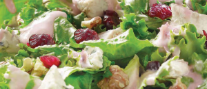 Turkey Salad with Cranberries