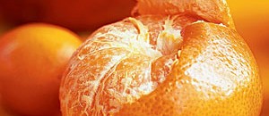 Winter’s Wonder Fruit: Citrus